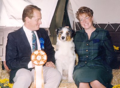 Telly Best of Breed Puppy 1994 ASCA National